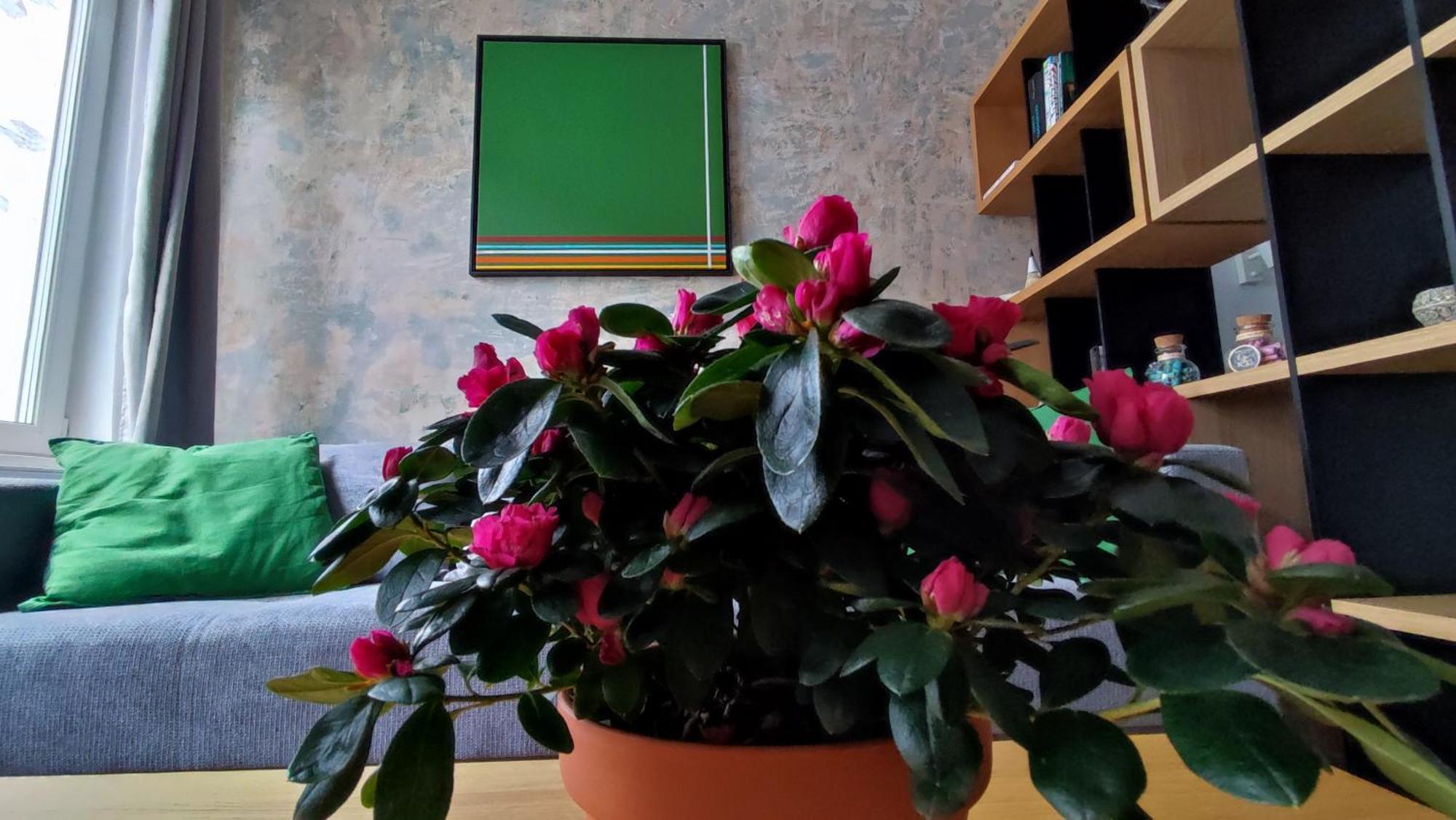 Isac 15 Central Apartment Kolozsvár Kültér fotó